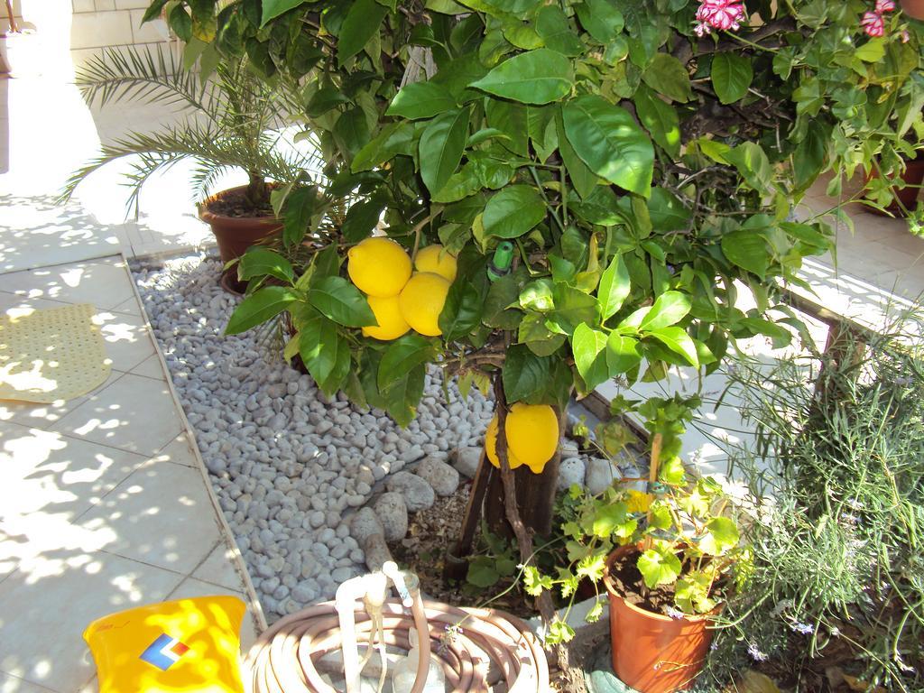 Apartment Lemon Dubrovnik Dış mekan fotoğraf