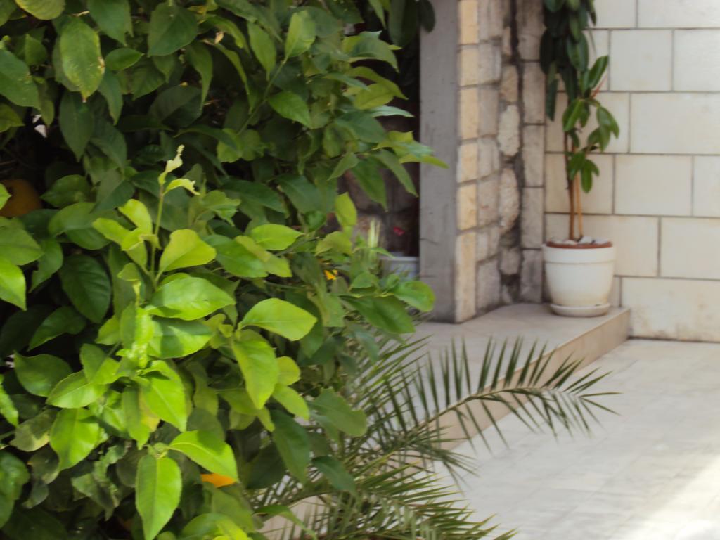 Apartment Lemon Dubrovnik Dış mekan fotoğraf